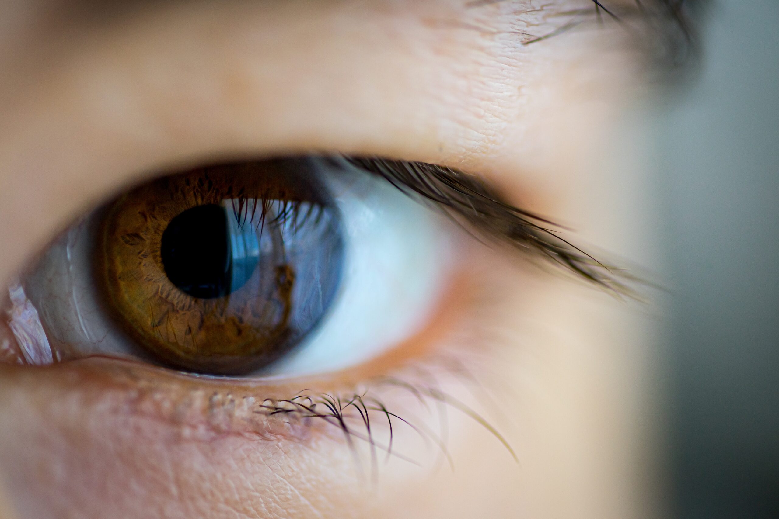 closeup shot of a brown asian folded hood eye